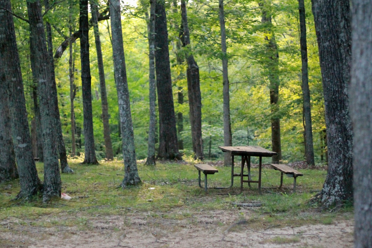 picnic table, table, woods-837221.jpg